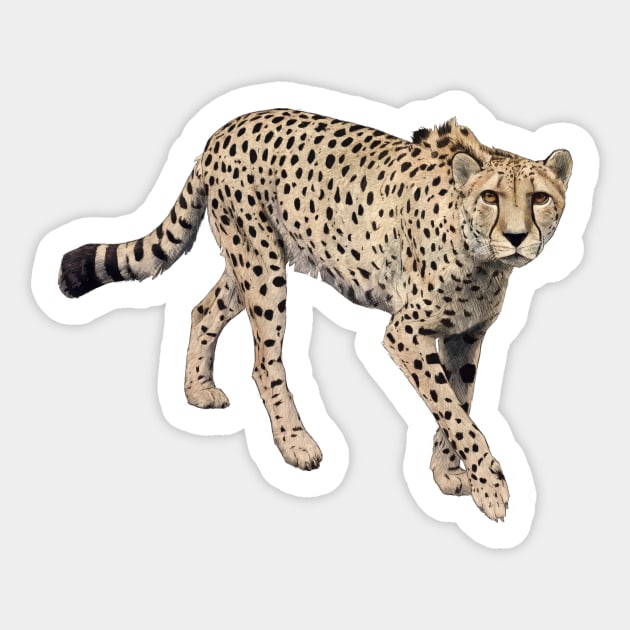 Cheetah Sticker by Atarial